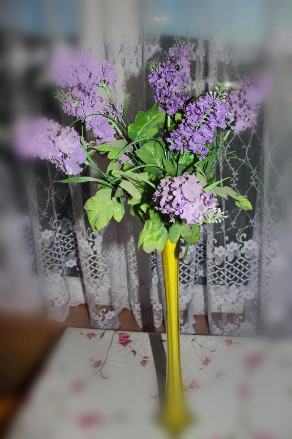 ויסלאו Pati Apartament Slonko מראה חיצוני תמונה